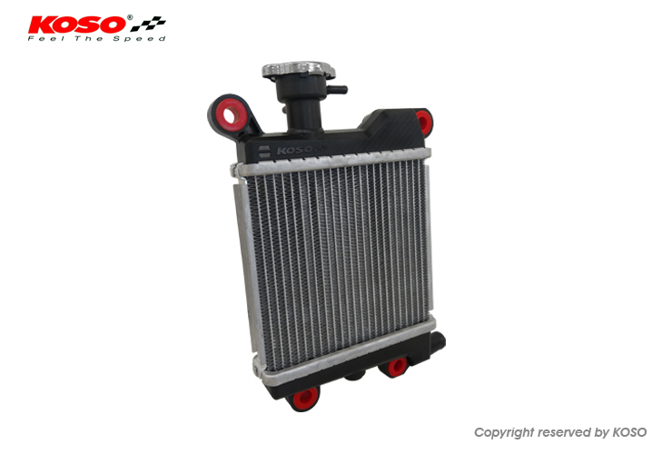 FORCE 155 / SMAX RADIATOR