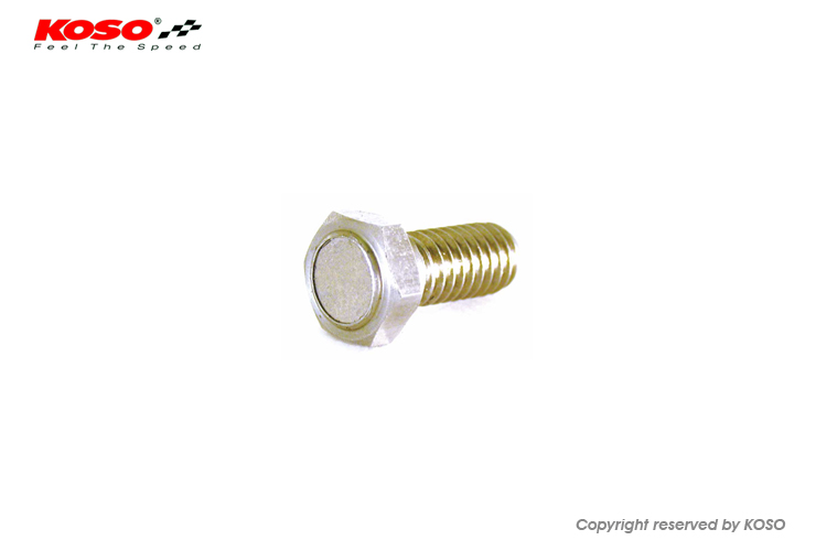 DISC MAGNET SCREW