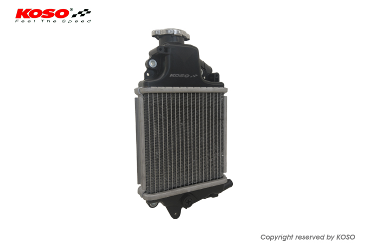 VARIO 125 / VARIO 150 RADIATOR